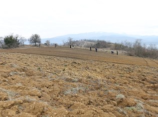 IMG_3524.JPG